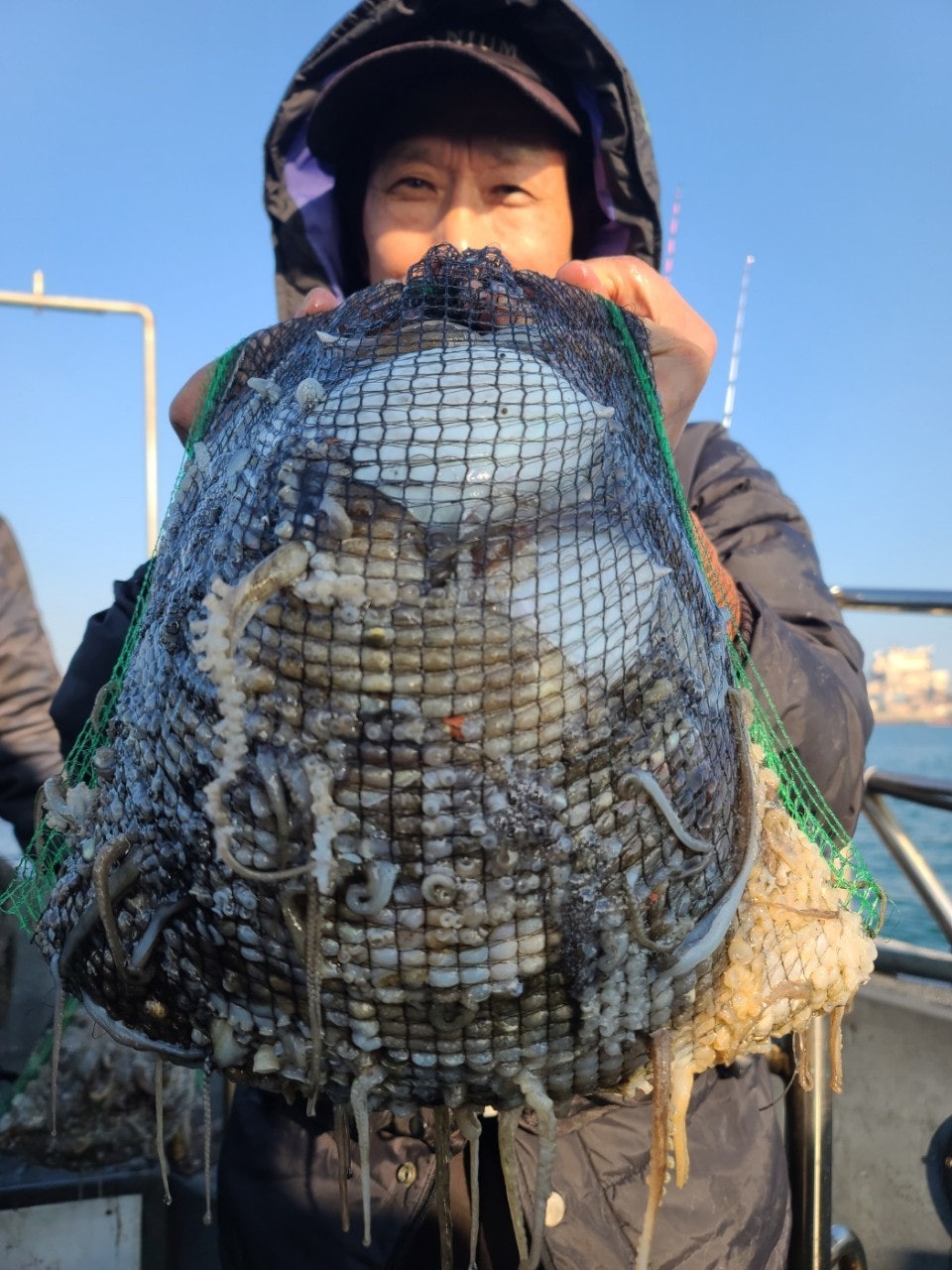 사용자가 올린 이미지