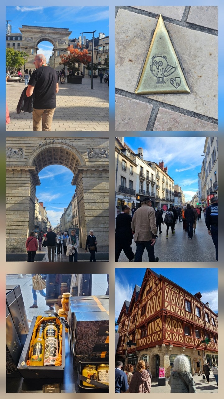 »ç¿ëÀÚ°¡ ¿Ã¸° À̹ÌÁö