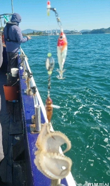 사용자가 올린 이미지