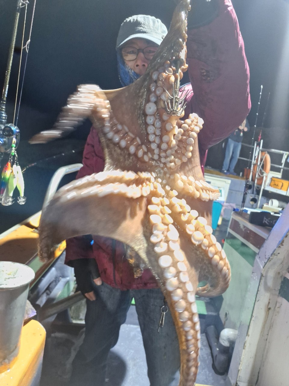 사용자가 올린 이미지