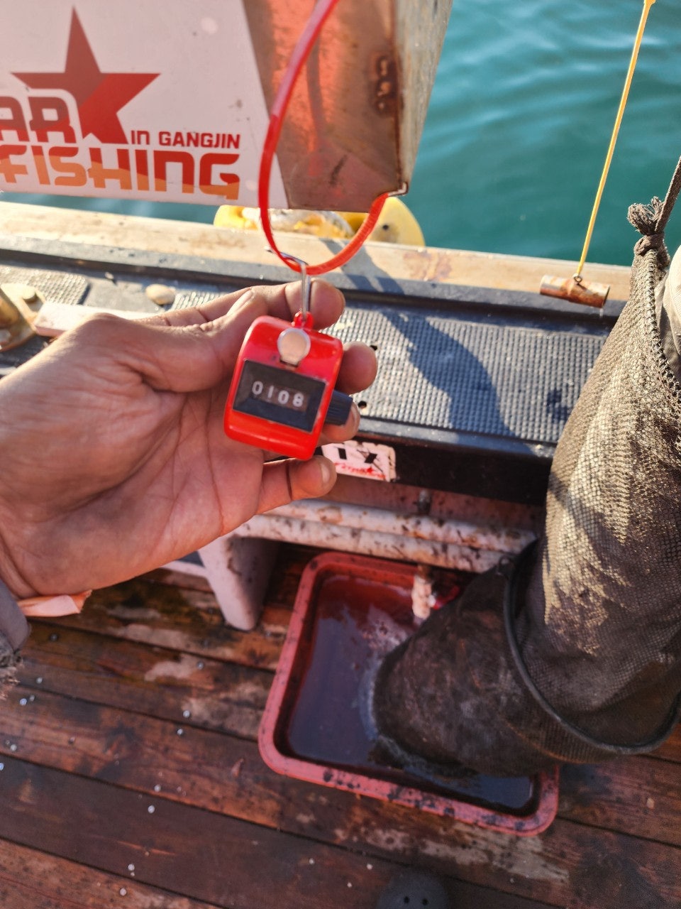 사용자가 올린 이미지