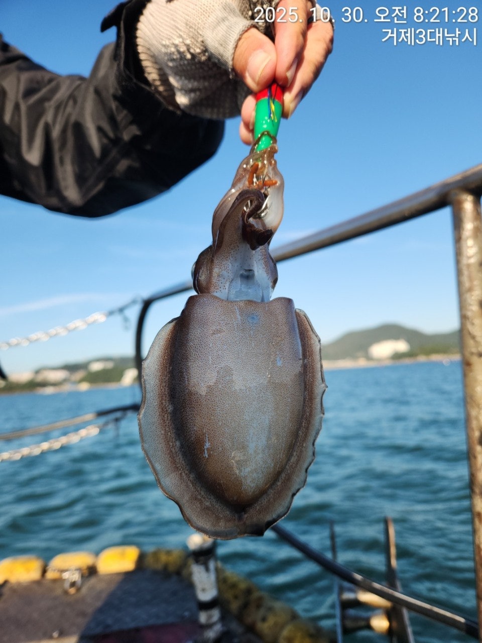 사용자가 올린 이미지