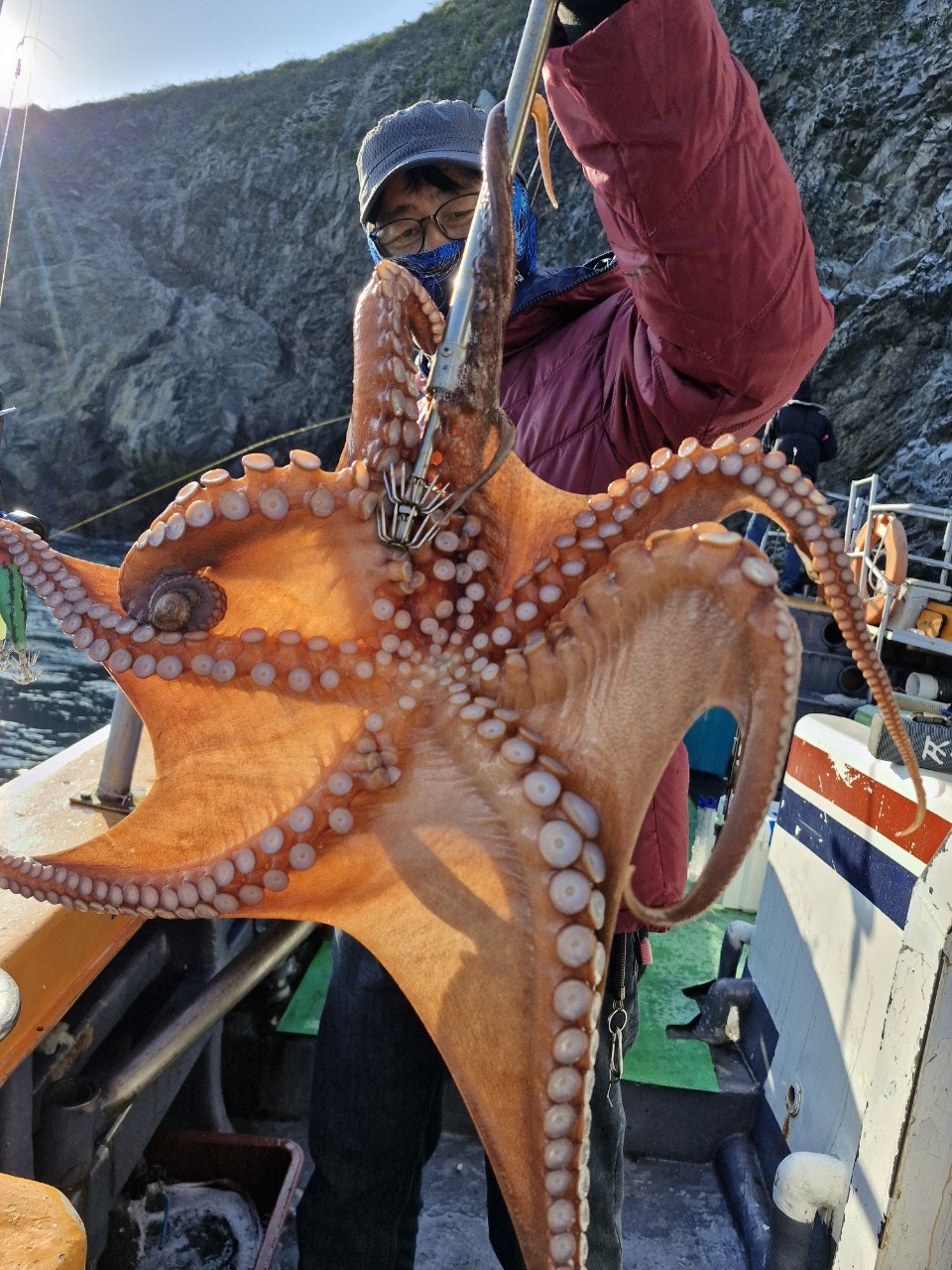 사용자가 올린 이미지