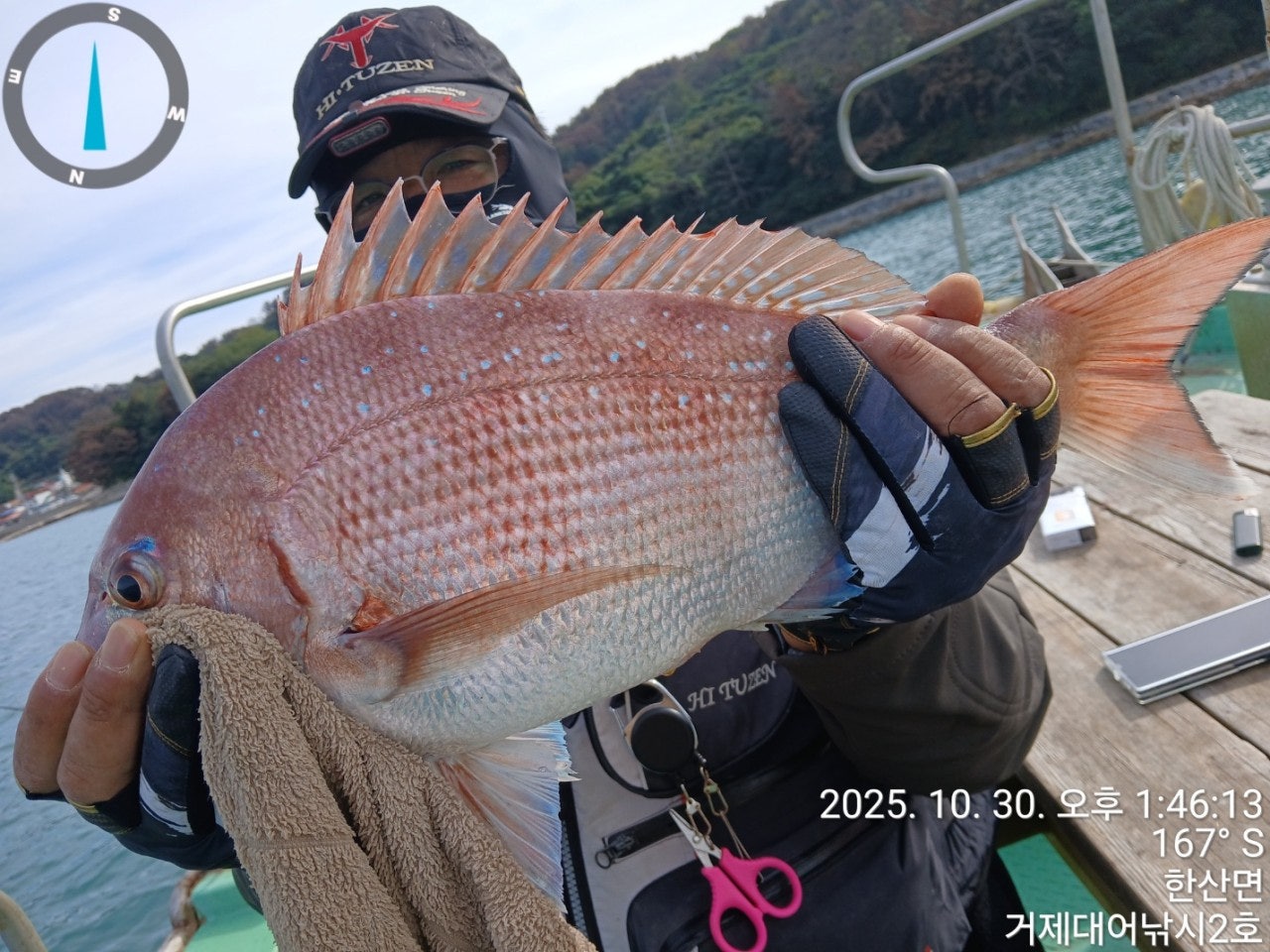 사용자가 올린 이미지