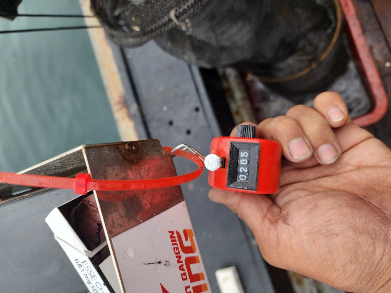 사용자가 올린 이미지