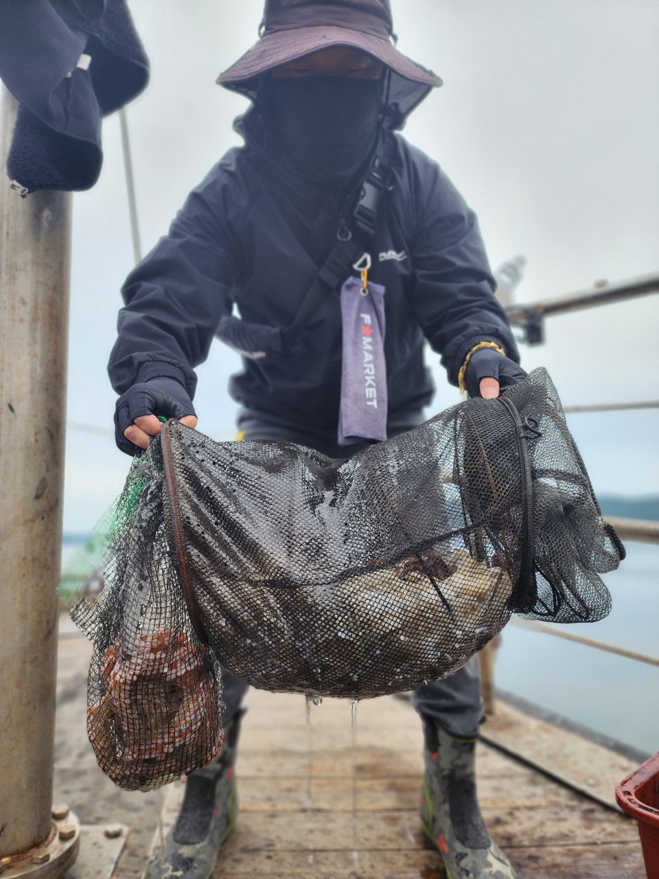 사용자가 올린 이미지