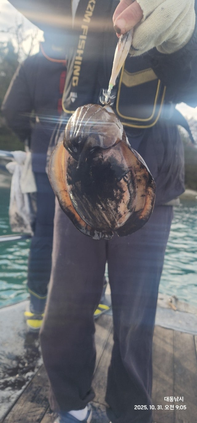 사용자가 올린 이미지