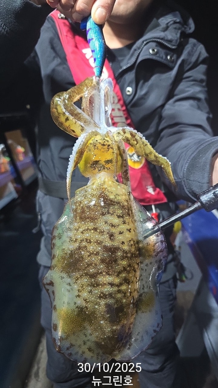 사용자가 올린 이미지