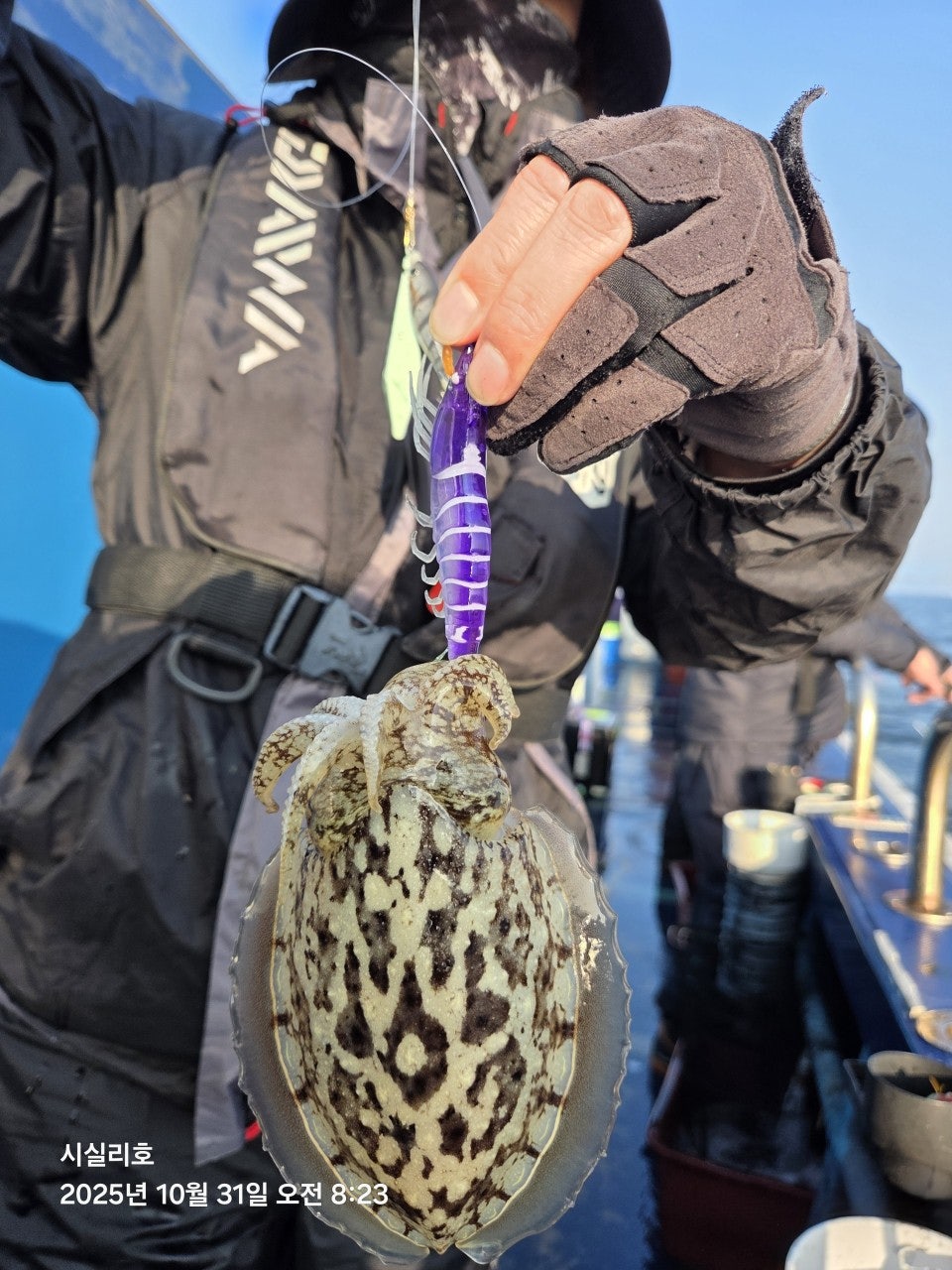 사용자가 올린 이미지