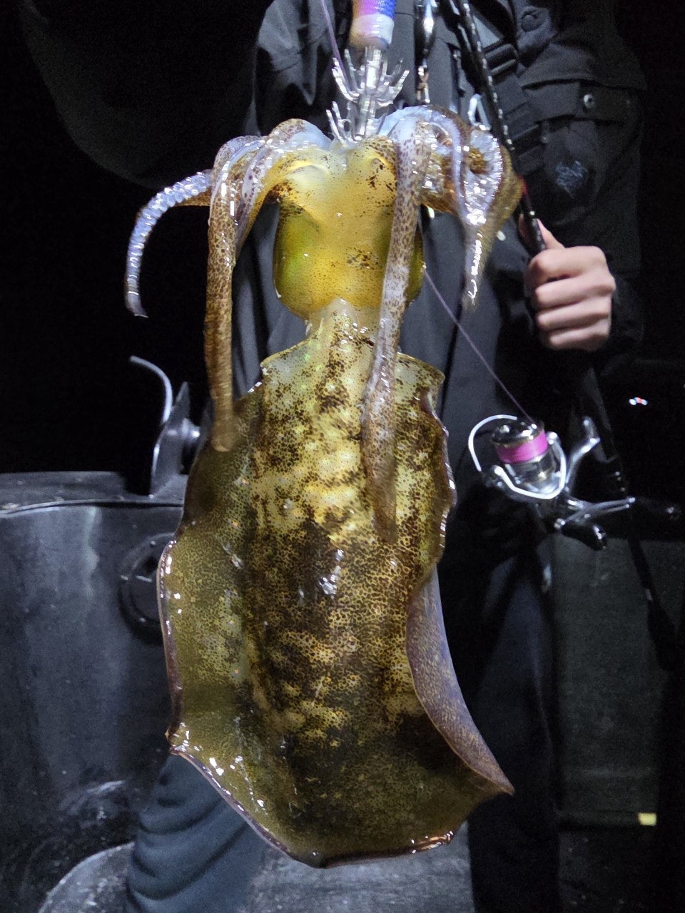 사용자가 올린 이미지