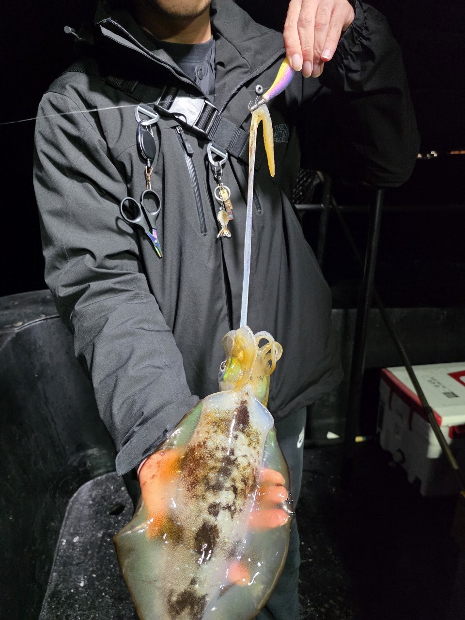 사용자가 올린 이미지