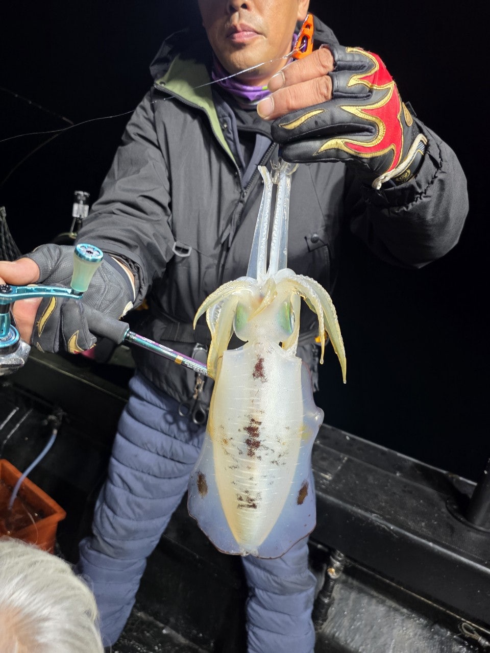 사용자가 올린 이미지