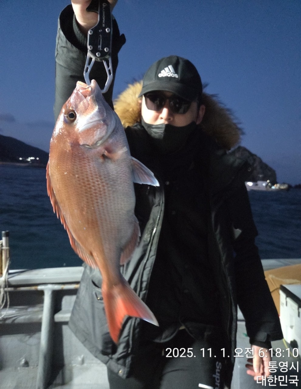 사용자가 올린 이미지