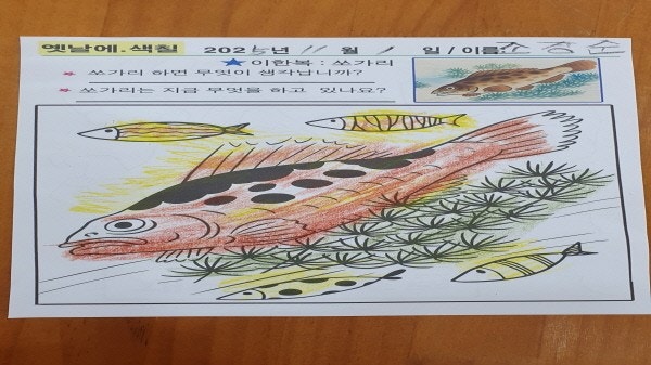 사용자가 올린 이미지