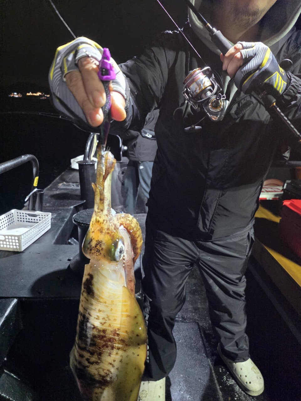 사용자가 올린 이미지