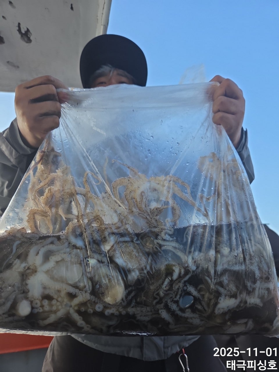 사용자가 올린 이미지