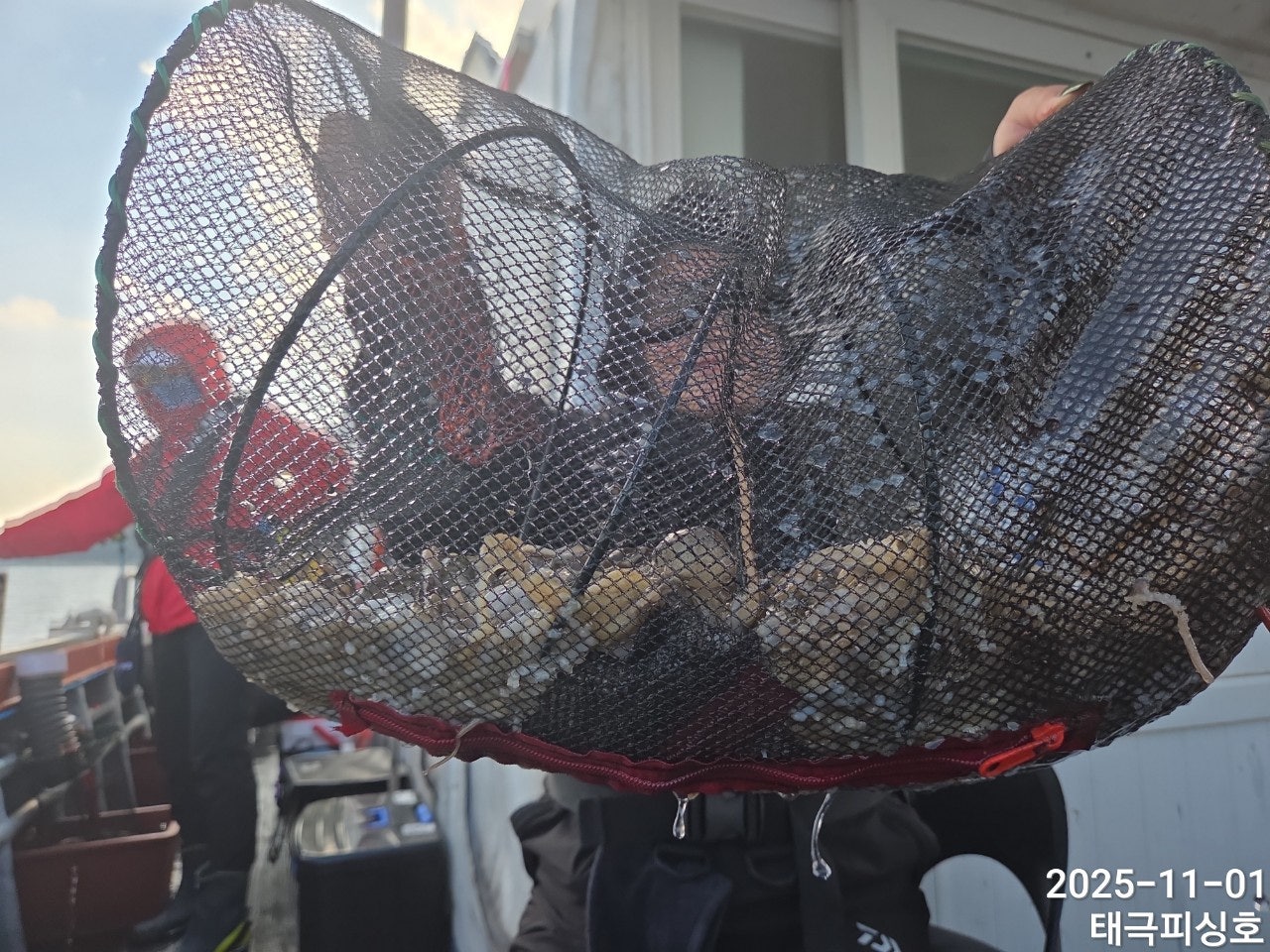 사용자가 올린 이미지