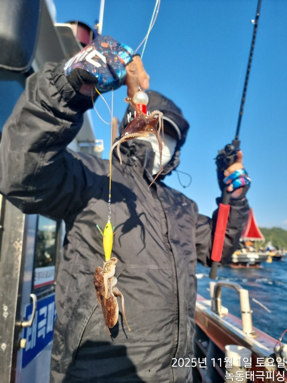 사용자가 올린 이미지