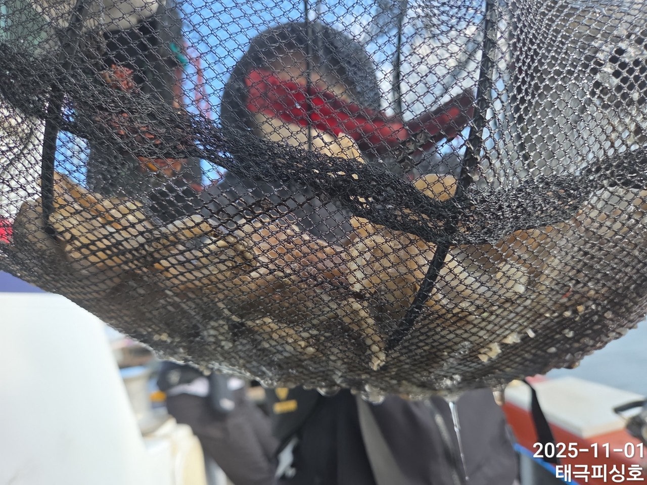 사용자가 올린 이미지