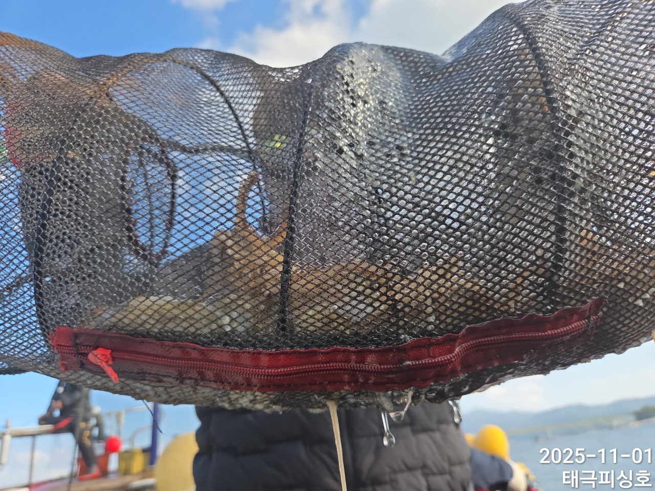 사용자가 올린 이미지