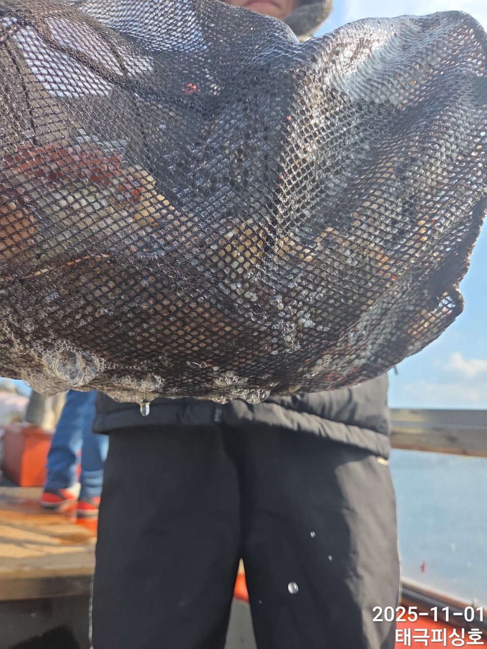 사용자가 올린 이미지