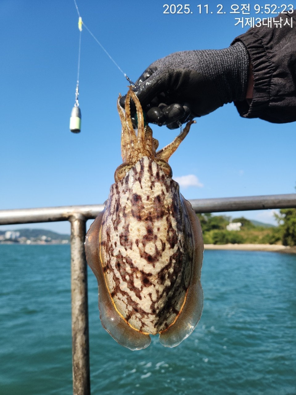 사용자가 올린 이미지