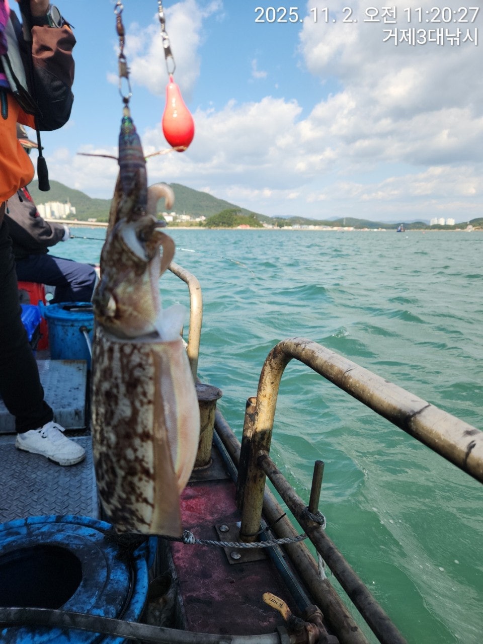 사용자가 올린 이미지