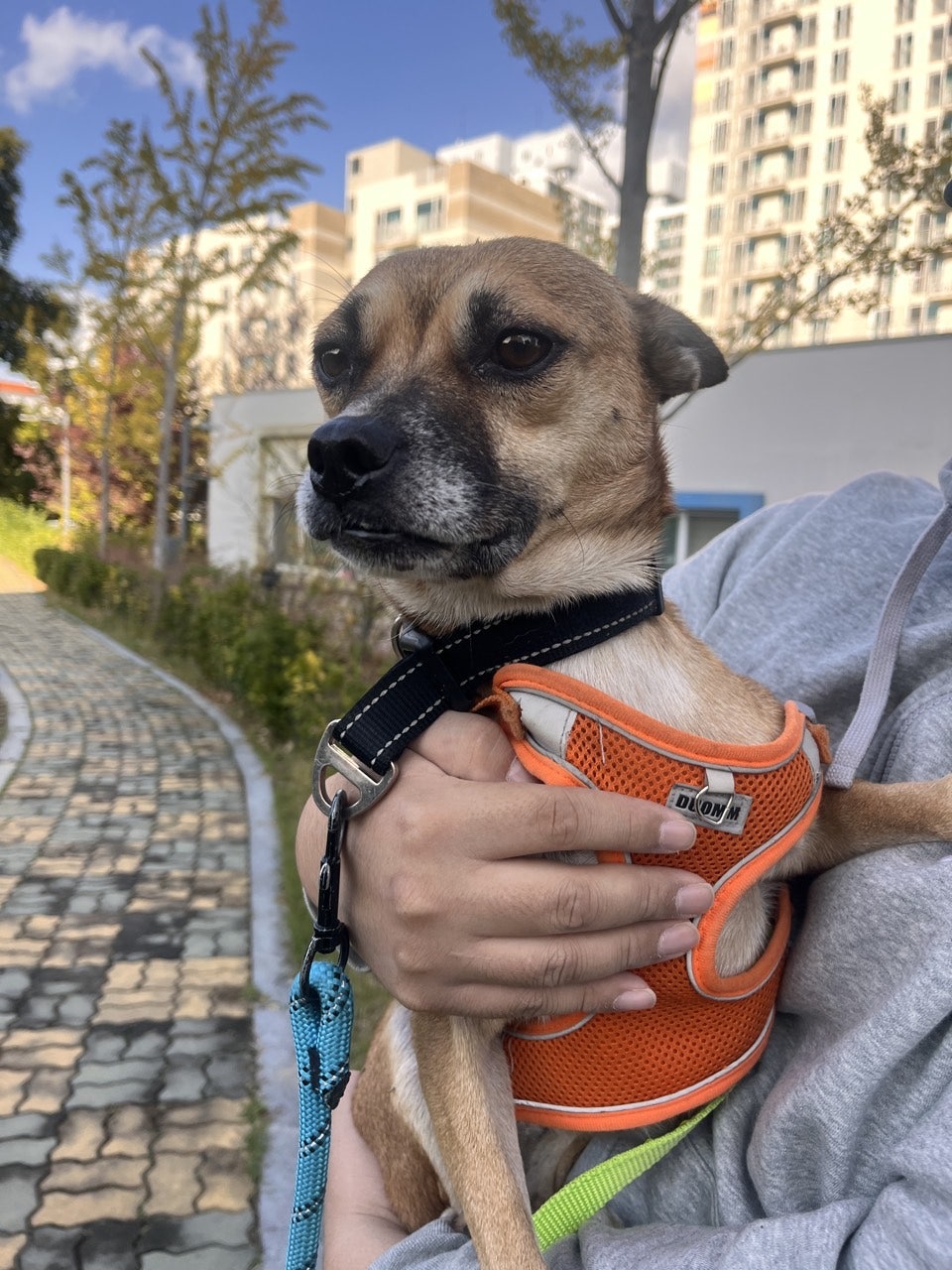 사용자가 올린 이미지