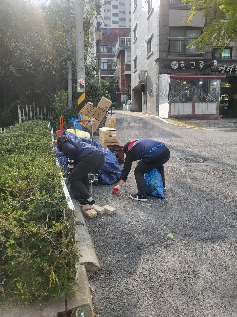 사용자가 올린 이미지