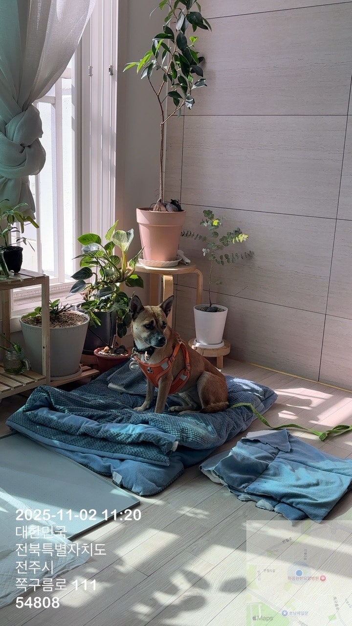 사용자가 올린 이미지