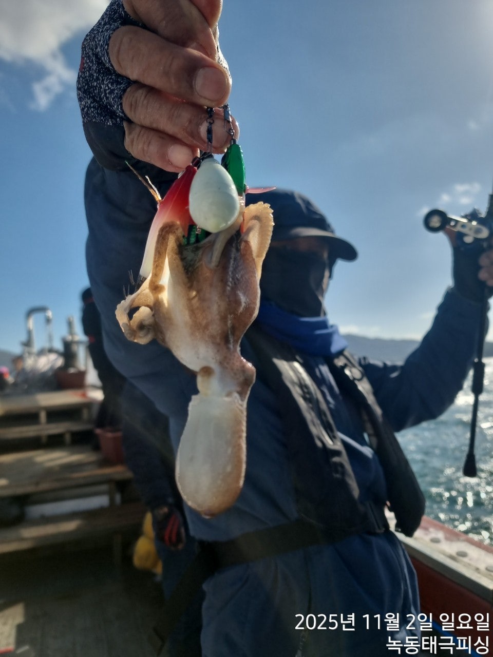 사용자가 올린 이미지