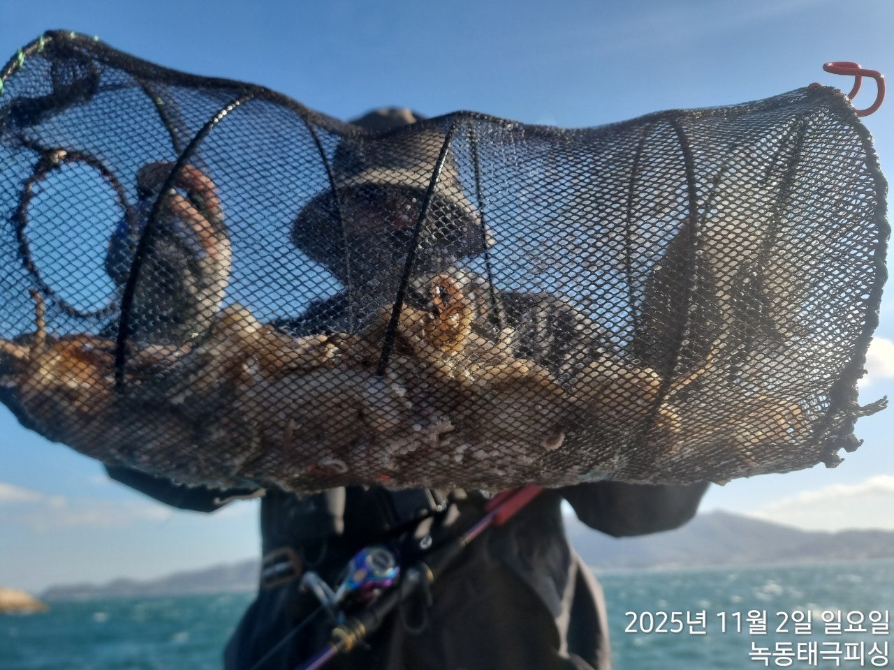 사용자가 올린 이미지