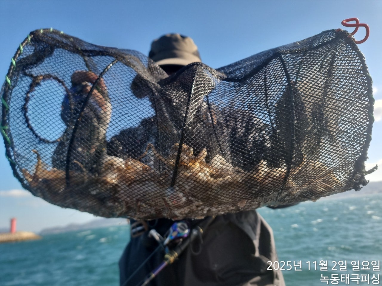 사용자가 올린 이미지