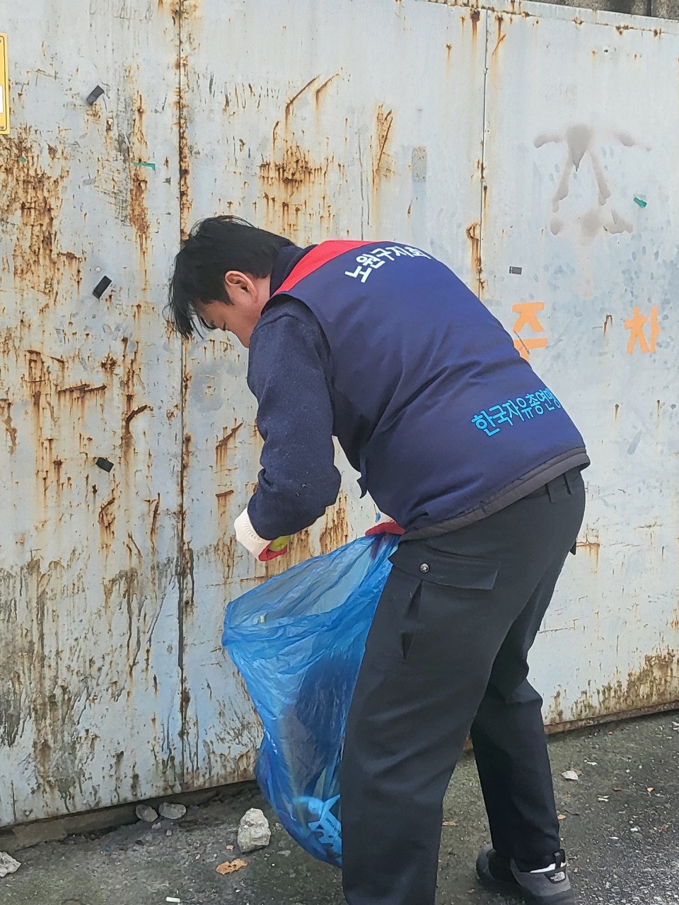 사용자가 올린 이미지