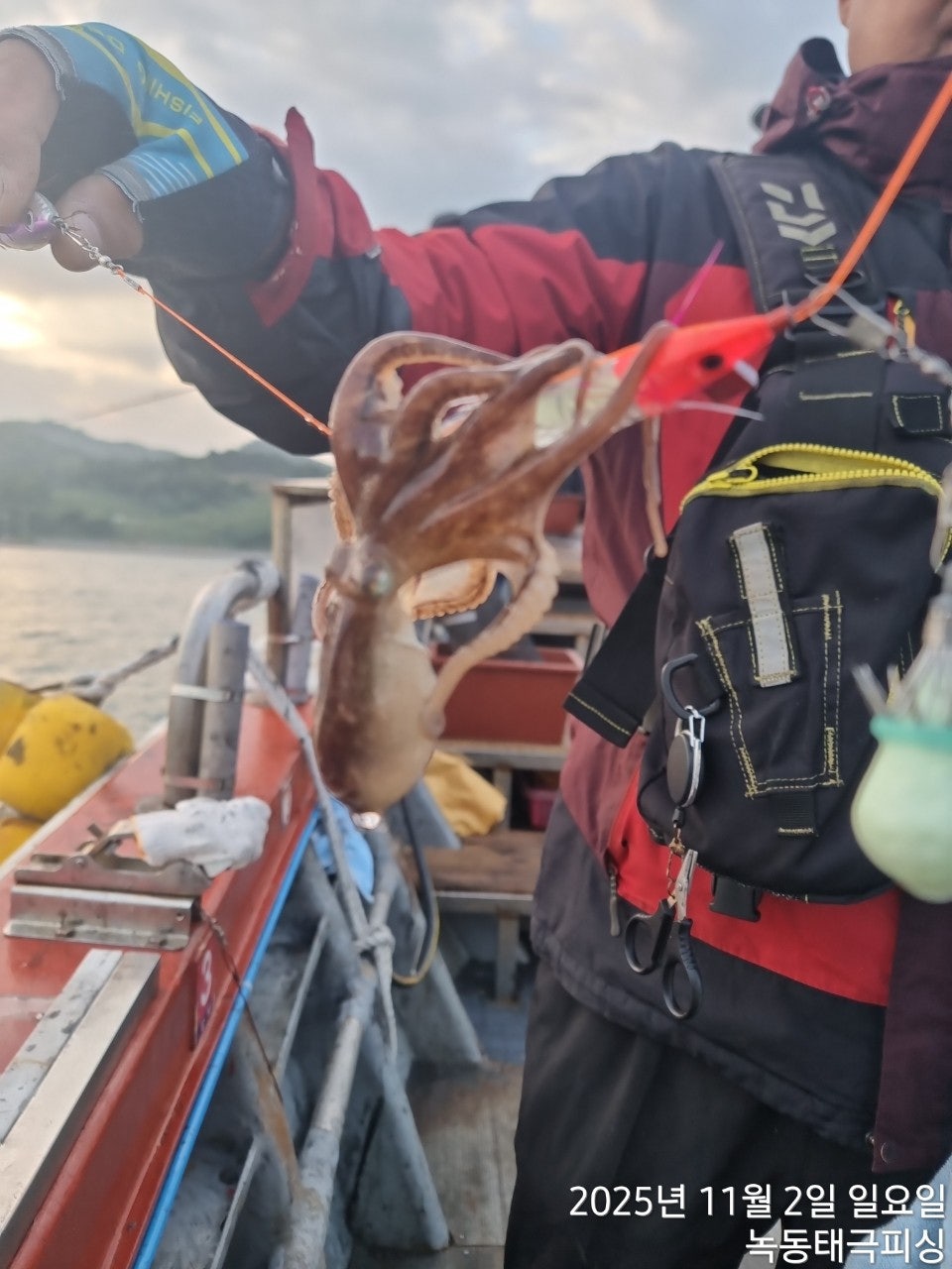 사용자가 올린 이미지