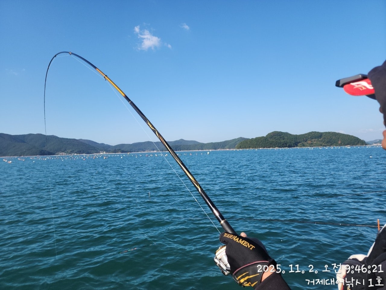 사용자가 올린 이미지