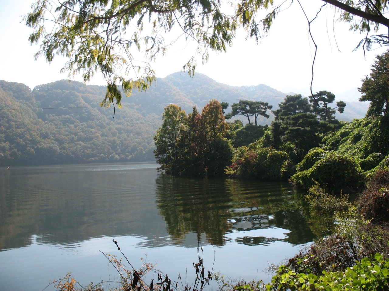 사용자가 올린 이미지