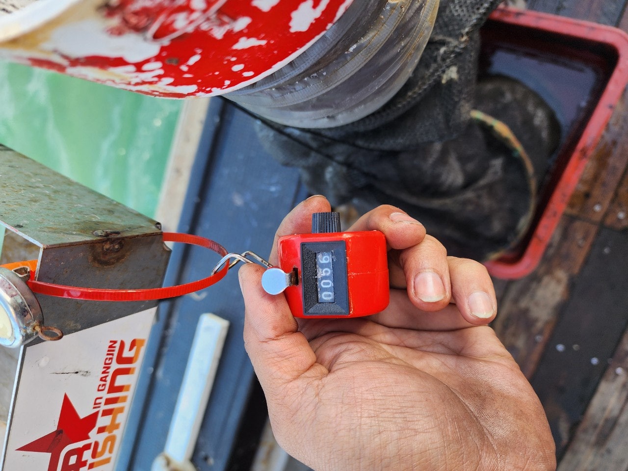 사용자가 올린 이미지