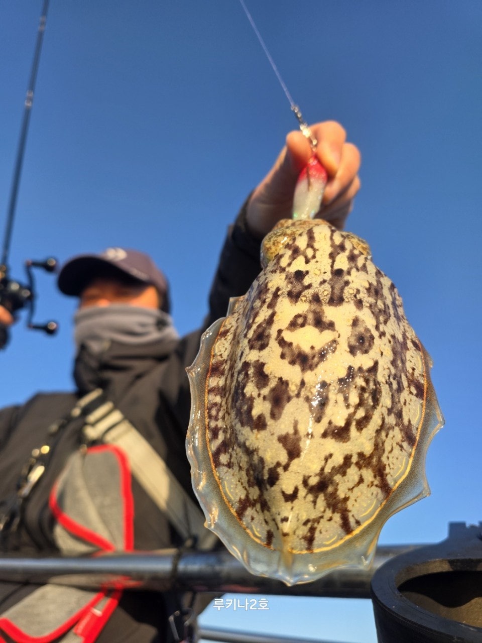 사용자가 올린 이미지