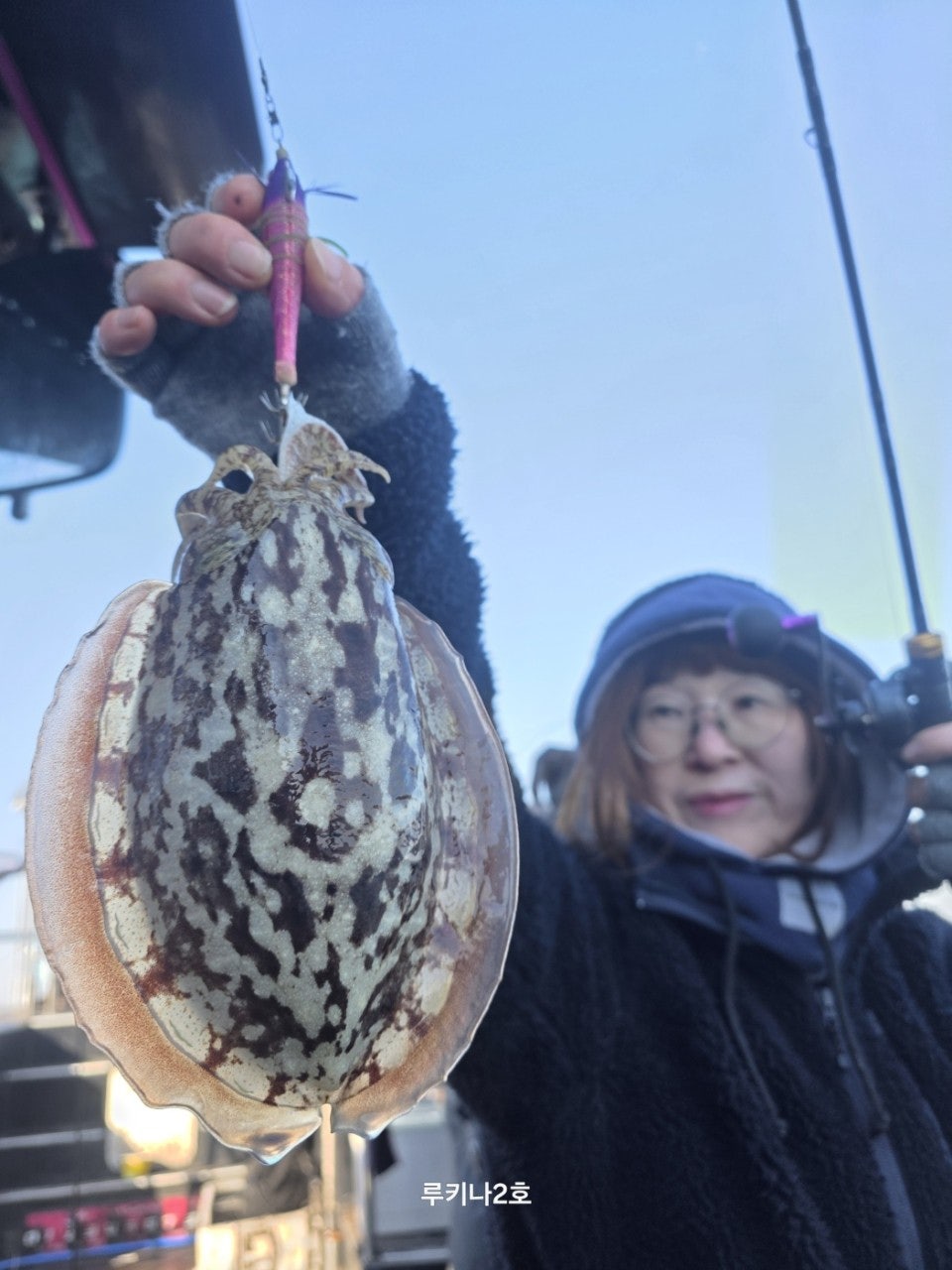 사용자가 올린 이미지