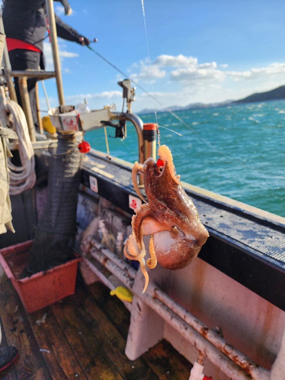 사용자가 올린 이미지