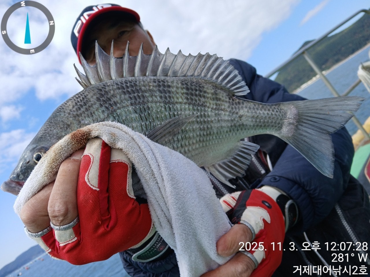 사용자가 올린 이미지