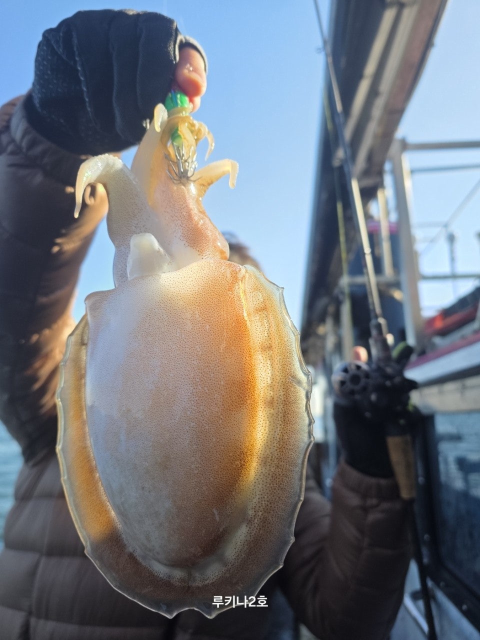 사용자가 올린 이미지