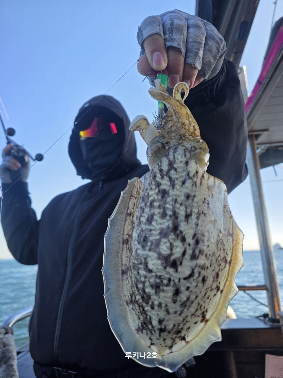 사용자가 올린 이미지