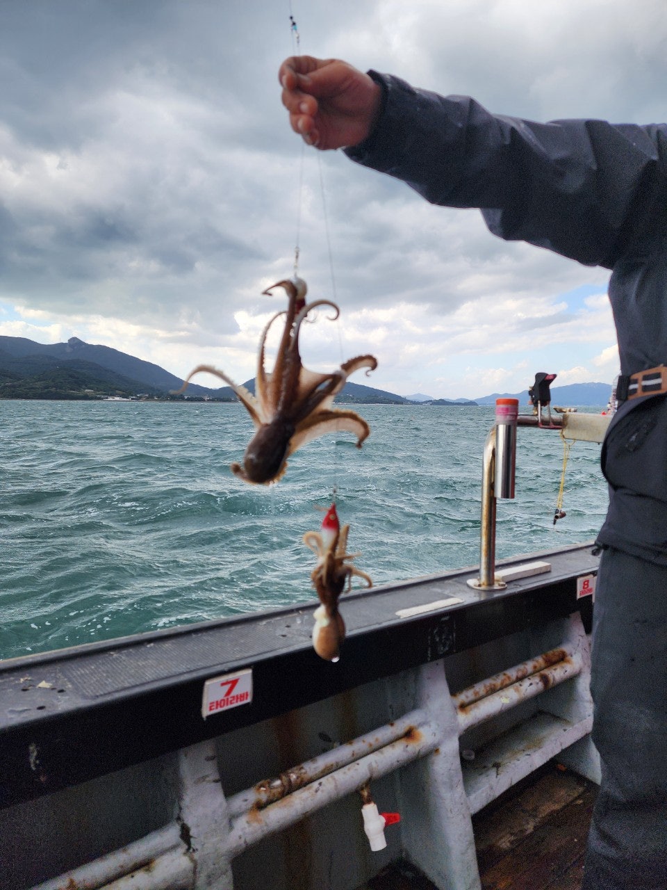 사용자가 올린 이미지