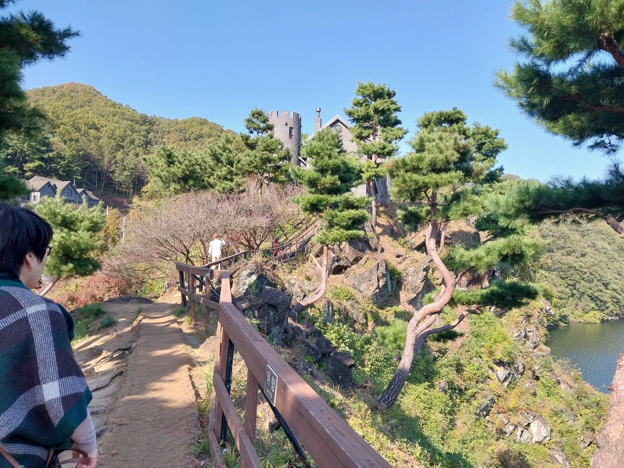 사용자가 올린 이미지