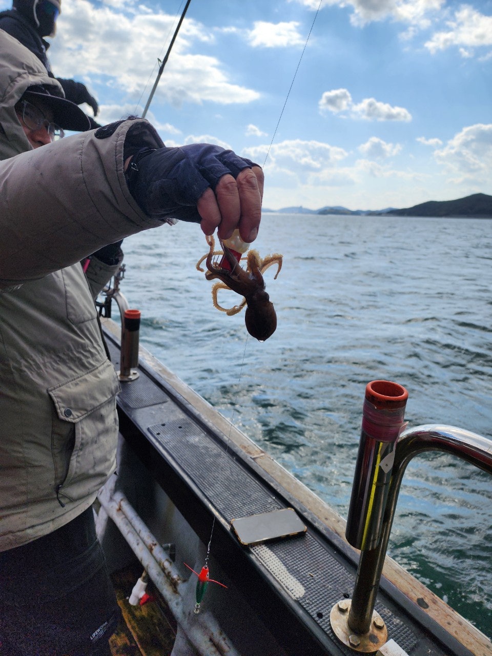 사용자가 올린 이미지