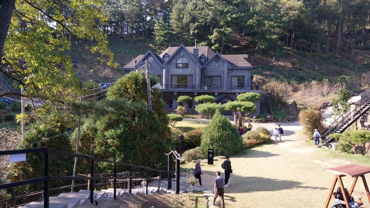 사용자가 올린 이미지