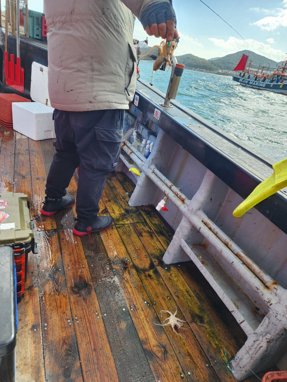 사용자가 올린 이미지