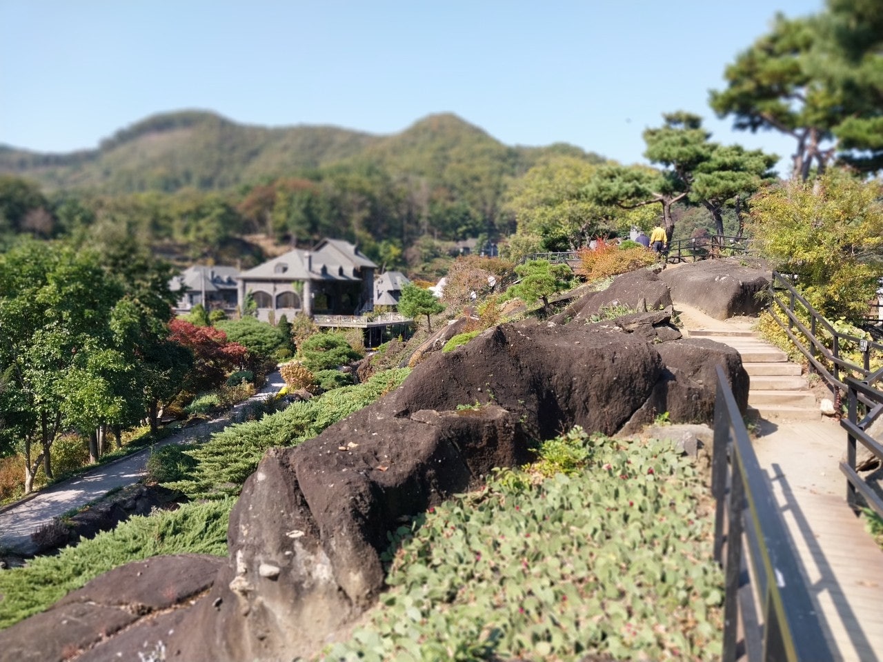 사용자가 올린 이미지